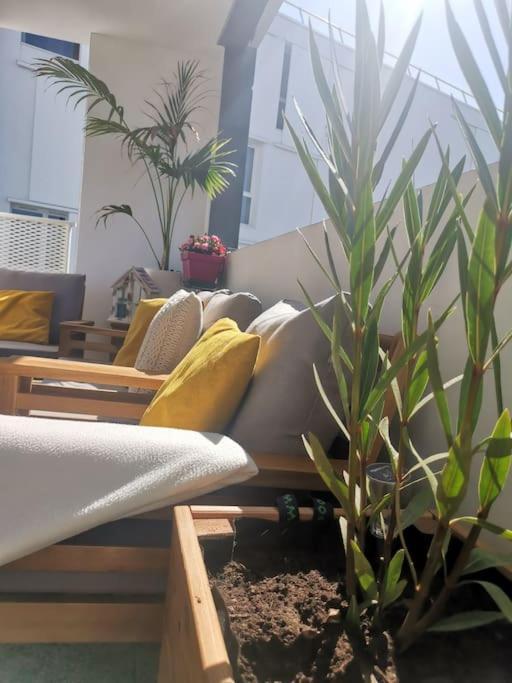 Chambre Chez Habitant Proche Metro Toulouse Kültér fotó